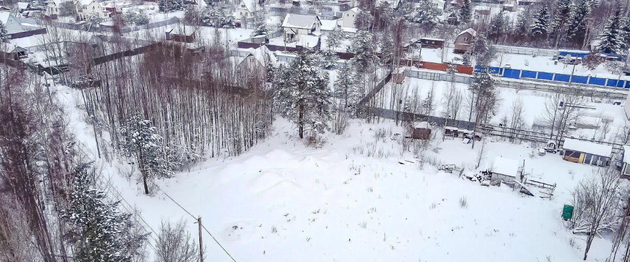 земля р-н Всеволожский массив Рахья снт Косой карьер Рахьинское городское поселение, 3-я линия фото 10