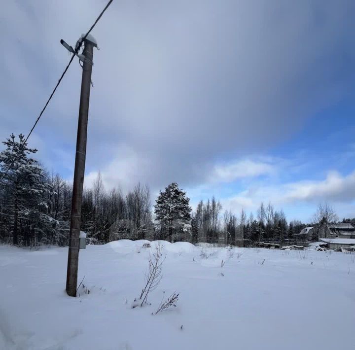 земля р-н Всеволожский массив Рахья снт Косой карьер Рахьинское городское поселение, 3-я линия фото 5