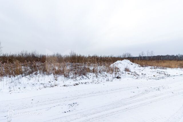 Тюмень городской округ, Центральный фото