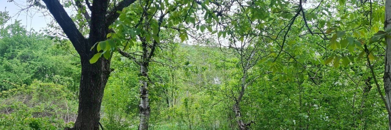 земля р-н Симферопольский с Мраморное с пос, садоводческое товарищество, Добровское фото 7