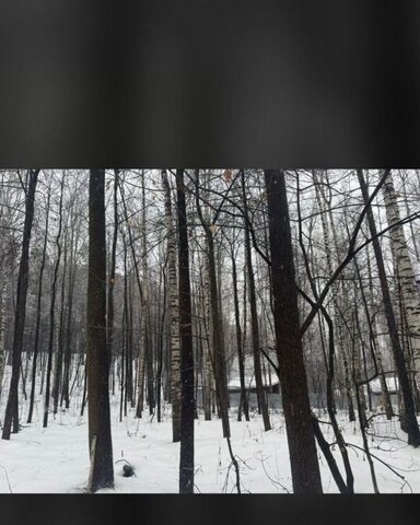 земля п Дачное Республика Татарстан Татарстан, Матюшинское сельское поселение, некоммерческое партнёрство Волжане-АС, Лаишевский р-н, Казань фото