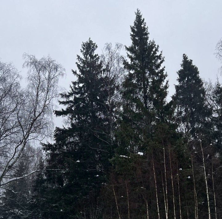 земля городской округ Солнечногорск д Бережки фото 5