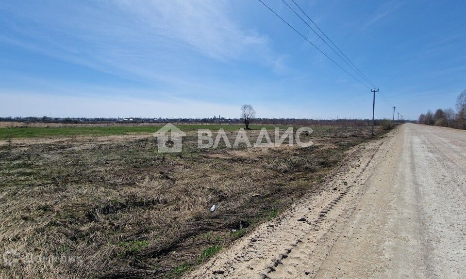 земля р-н Собинский с Ворша ул Молодежная 20 Воршинское сельское поселение фото 2