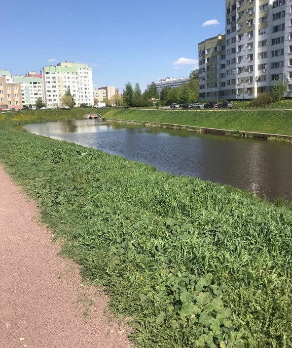 квартира г Санкт-Петербург метро Проспект Ветеранов ул Генерала Симоняка 8к/1 округ Ульянка фото 2