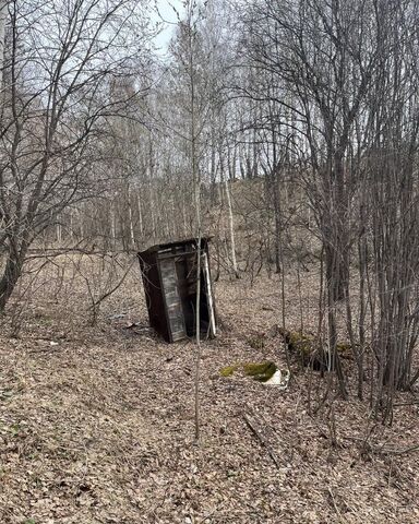 земля п Двуречье Барышевский сельсовет, Барышево фото