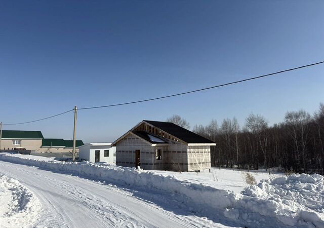 р-н Первомайский СТ Мотостроитель-2, Барнаул фото