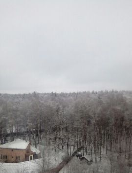 квартира городской округ Солнечногорск д Голиково р-н мкр №1 Зеленоград — Крюково, к 1, Поварово пгт фото 8