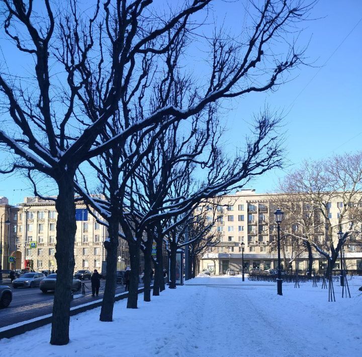 комната г Санкт-Петербург метро Петроградская пр-кт Каменноостровский 44б округ Аптекарский остров, Петроградка фото 24