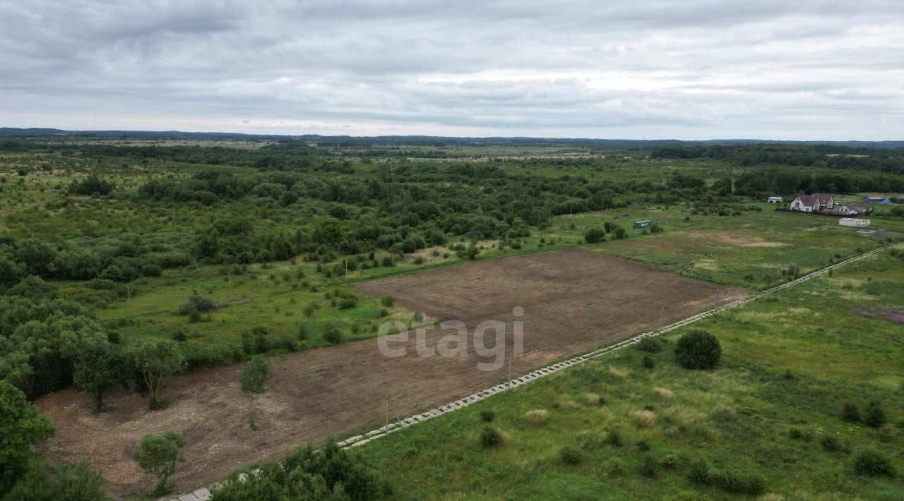 земля р-н Зеленоградский г Зеленоградск Садовые участки фото 4