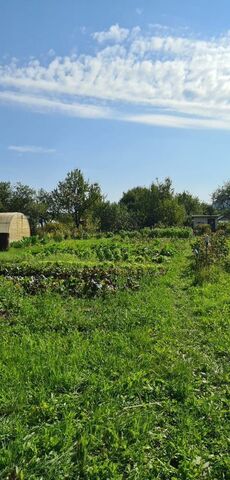 садоводческое некоммерческое товарищество Нижегородец фото