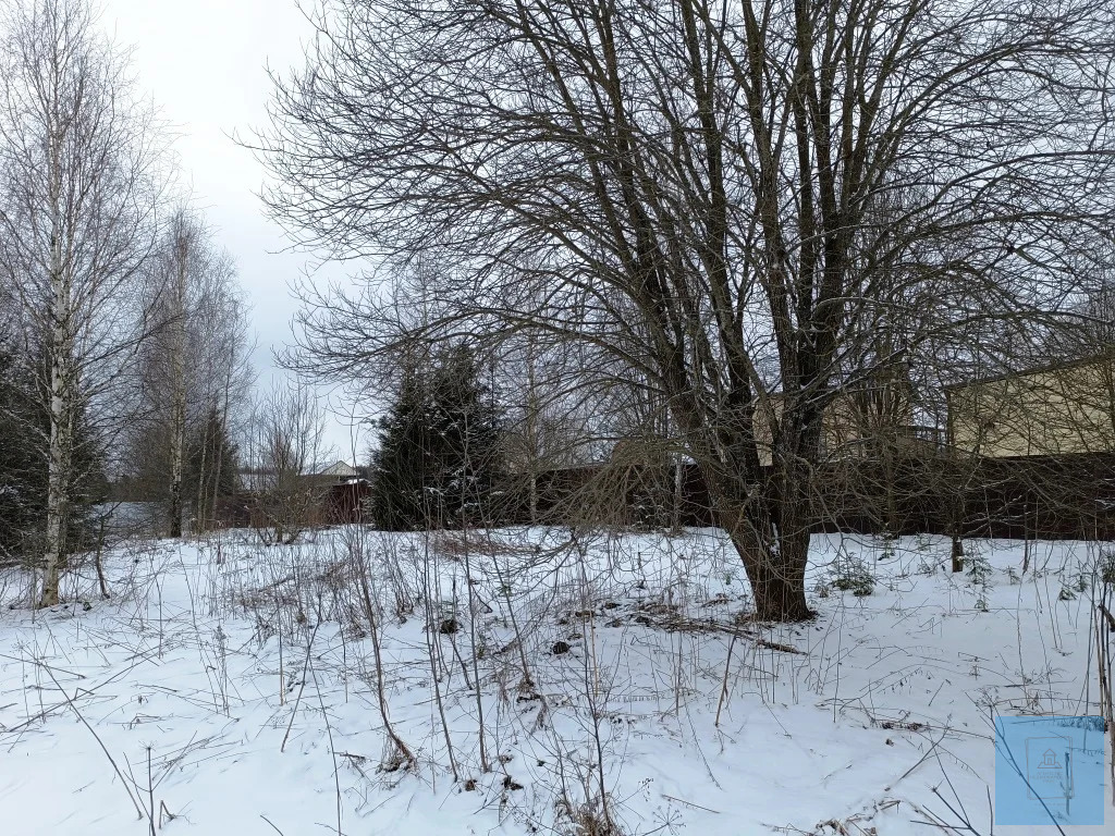 земля городской округ Солнечногорск п 2-я Смирновка ул Дачная Ленинградское фото 1