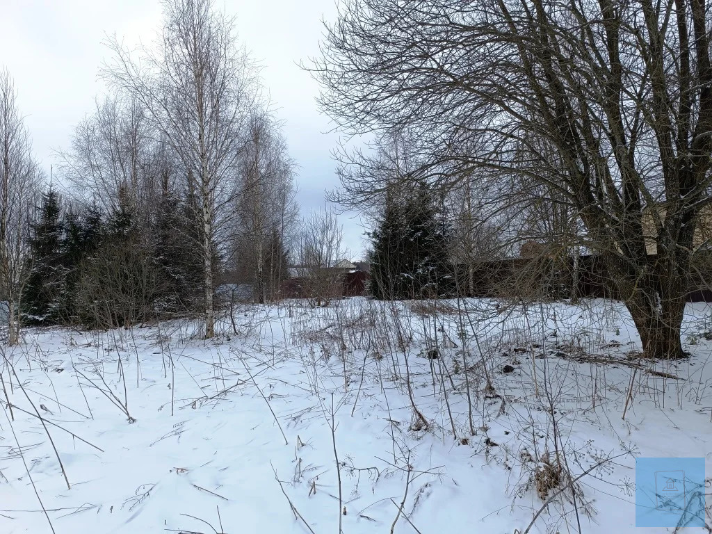 земля городской округ Солнечногорск п 2-я Смирновка ул Дачная Ленинградское фото 2