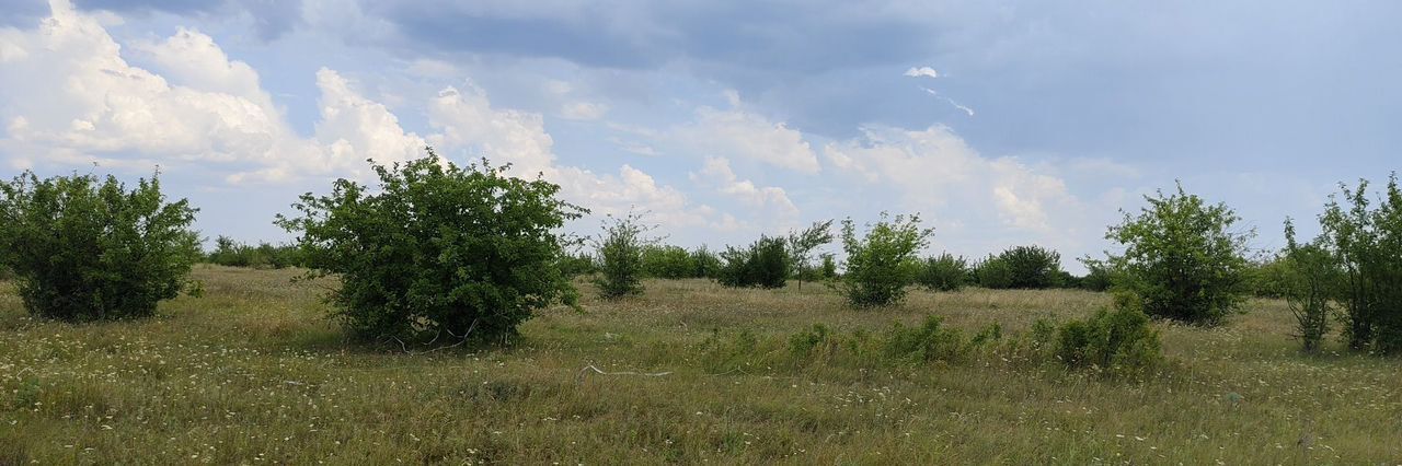 земля р-н Балаковский с Красный Яр Быково-Отрогское муниципальное образование фото 3