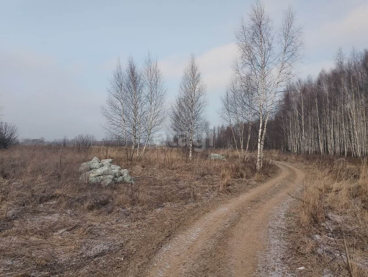 земля городской округ Серпухов пос, Авангард фото 6