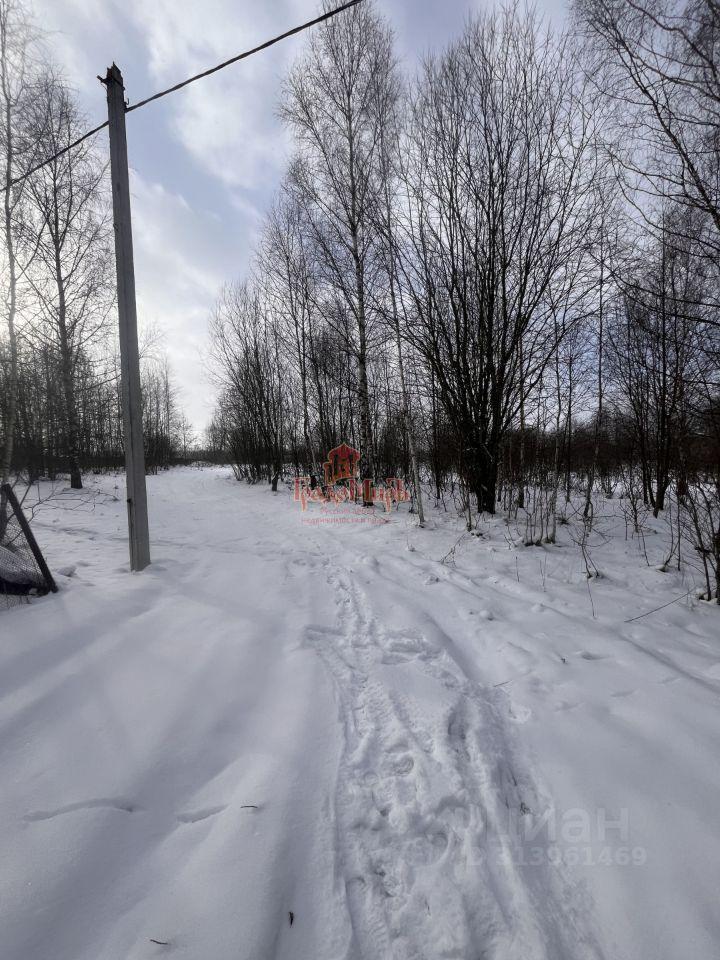 земля городской округ Дмитровский д Бешенково 24, Вербилки фото 8