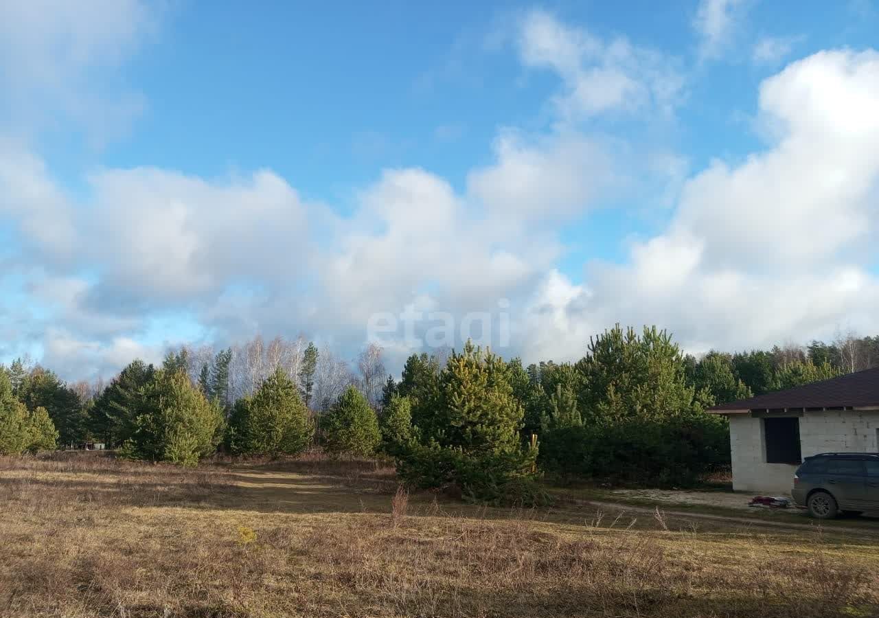 земля р-н Пильнинский с Соколиха Городецкий муниципальный округ, Чкаловск фото 1