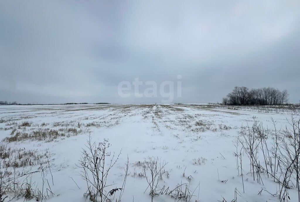 дом р-н Залегощенский д Ржаное ул Весёлая фото 9