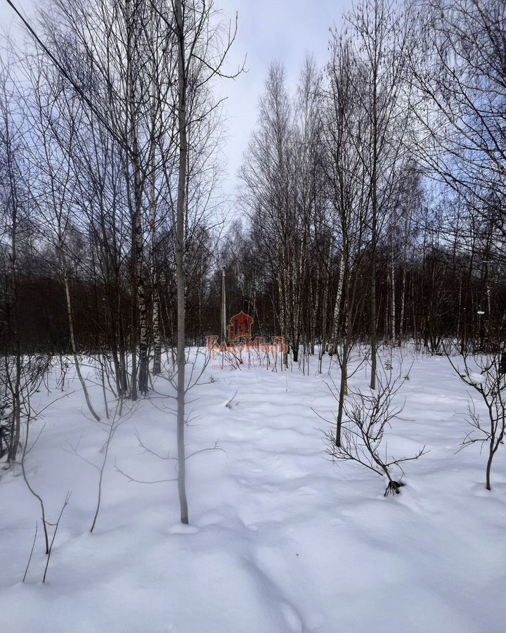 земля городской округ Дмитровский 60 км, СНТ Ортопед, Вербилки, Дмитровское шоссе фото 3