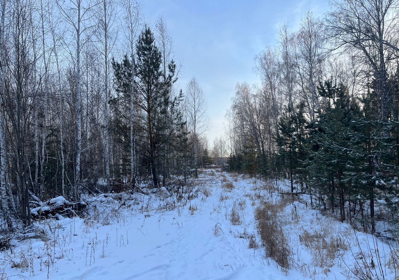 земля р-н Сосновский с Кременкуль Кременкульское сельское поселение, Челябинск фото 4