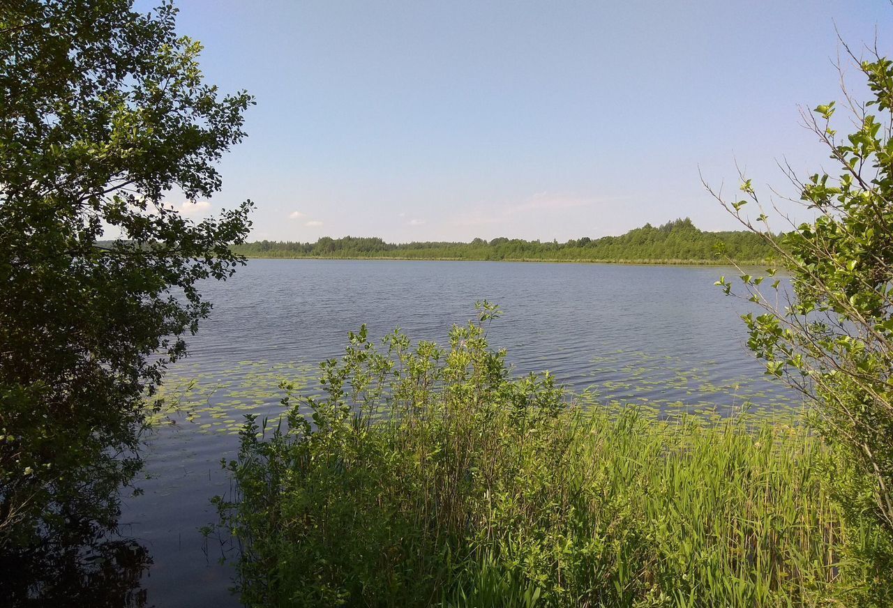 земля р-н Великолукский Пореченская волость, Великие Луки фото 6