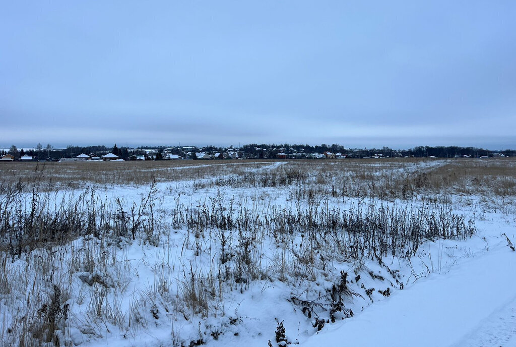 земля городской округ Раменский дачный посёлок Давыдово фото 2