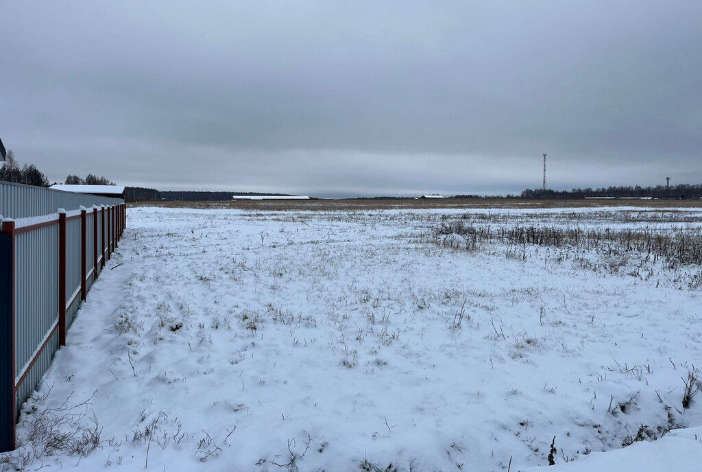 земля городской округ Раменский дачный посёлок Давыдово фото 1