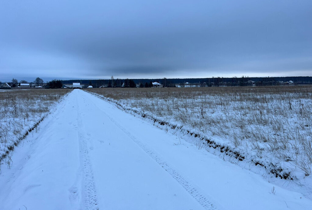 земля городской округ Раменский дачный посёлок Давыдово фото 1