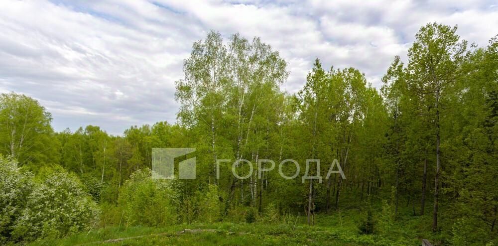 дом р-н Новокузнецкий с Таргай ул Солнечная фото 11