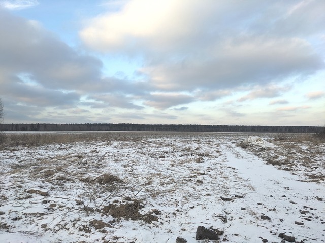 городской округ Егорьевск д Станинская фото