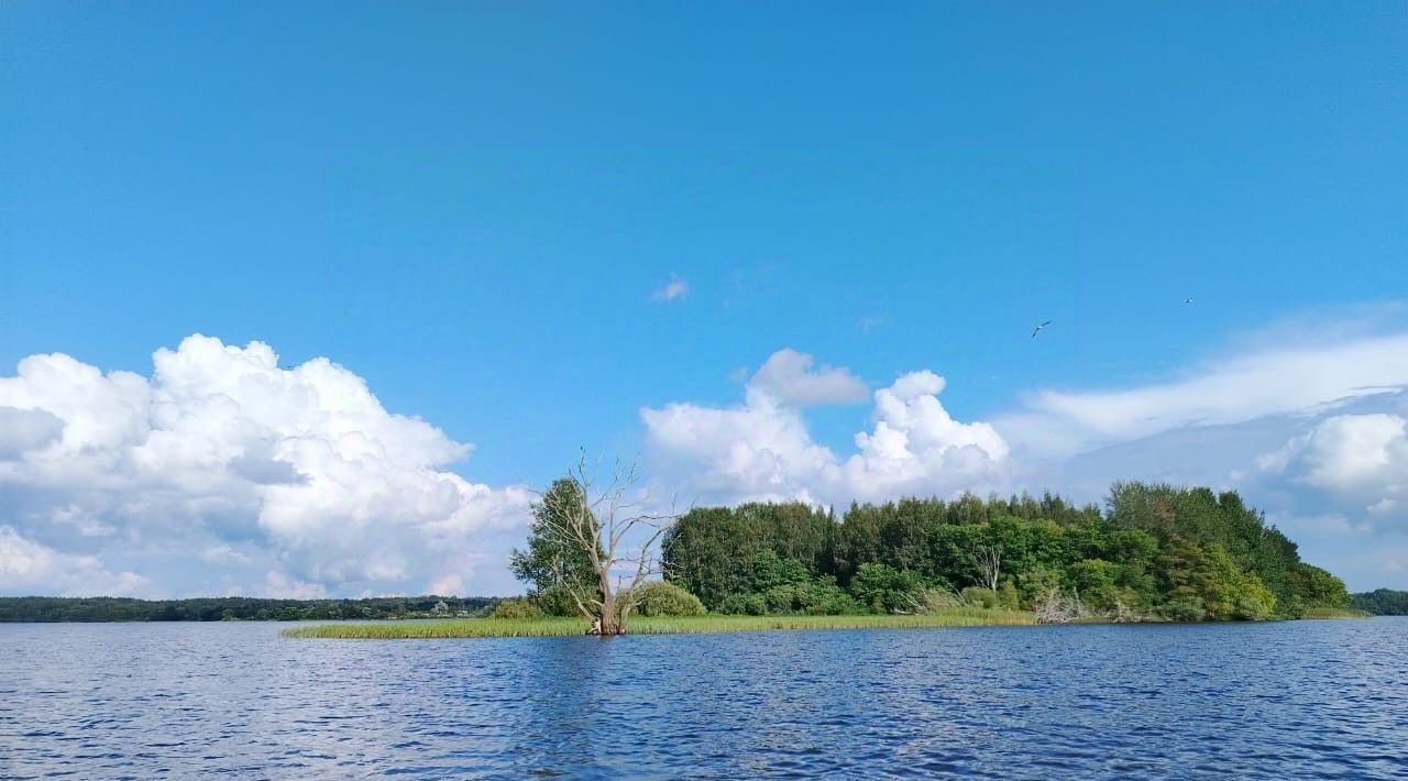 земля р-н Осташковский г Осташков д Городок фото 29