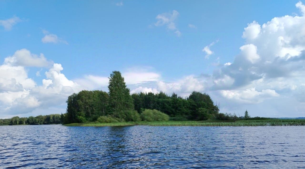 земля р-н Осташковский г Осташков д Городок фото 31