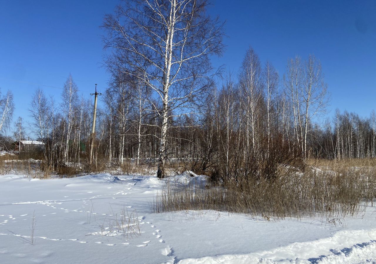 земля р-н Нижнетавдинский снт Водник ул Рябиновая 54 Тюмень фото 15