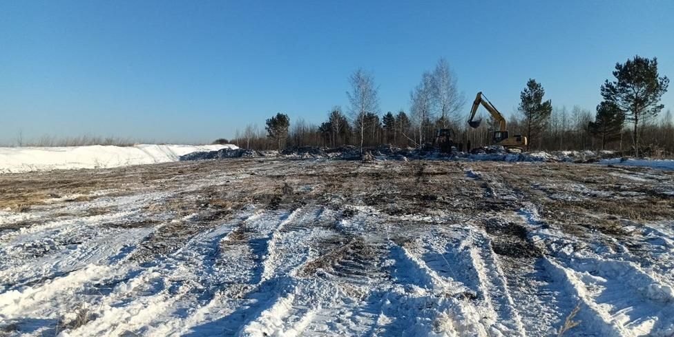 земля р-н Тюменский с Ембаево ул Восточная Тюмень фото 3