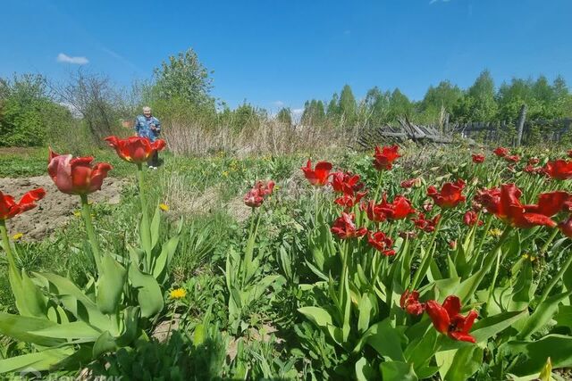 улица Лапинская, Тобольск городской округ фото