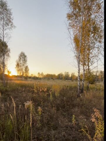 д Анишино сельское поселение Центральное, Рассвет фото