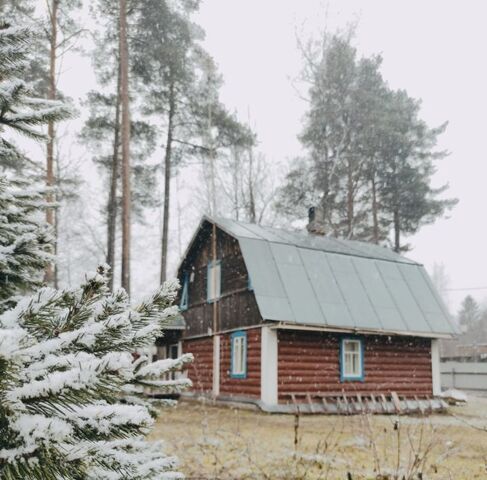 дом п Рябово пр-д Приболотный Лес Приморское городское поселение фото