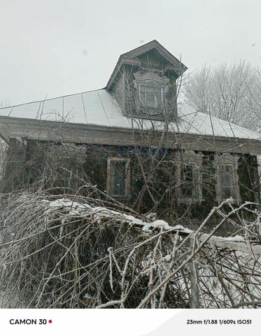 д Ляпуново 46, Городецкий муниципальный округ фото