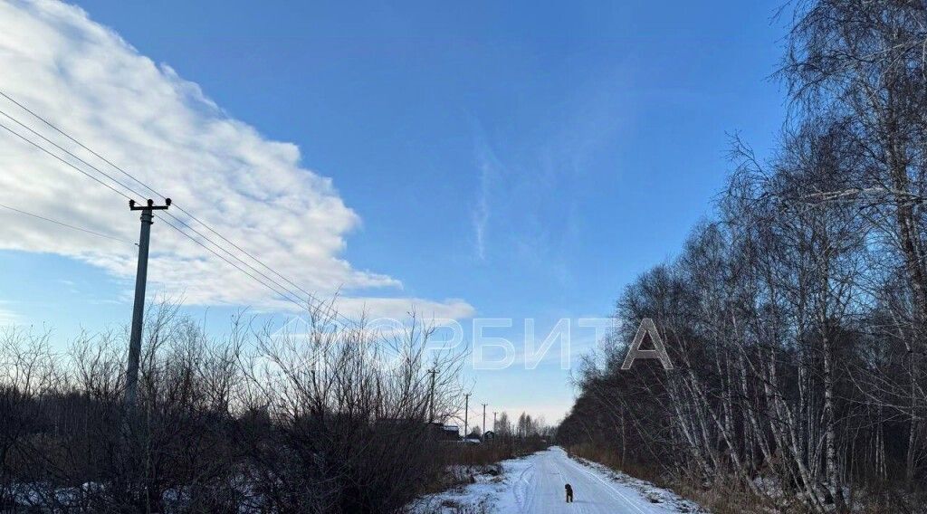 земля г Тюмень р-н Центральный снт Поле чудес-2 ул Цветочная Центральный административный округ фото 3