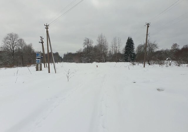 д Сорокино Щукинская волость, Пустошка фото