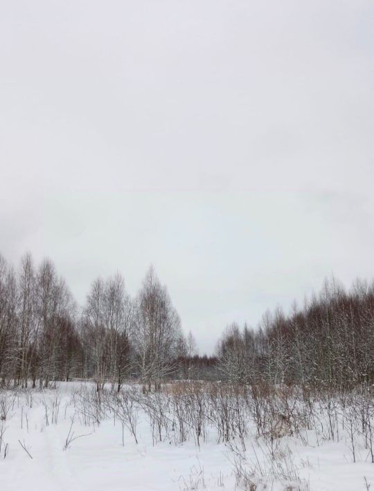 земля городской округ Талдомский г Талдом пл К.Маркса фото 3