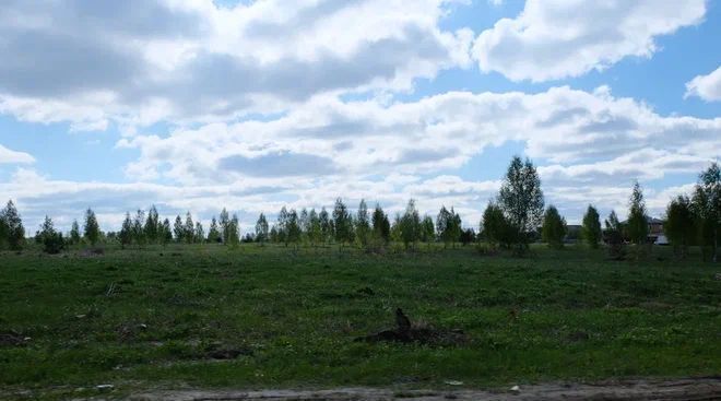 земля г Казань Суконная слобода снт Любитель природы-2 1 фото 3
