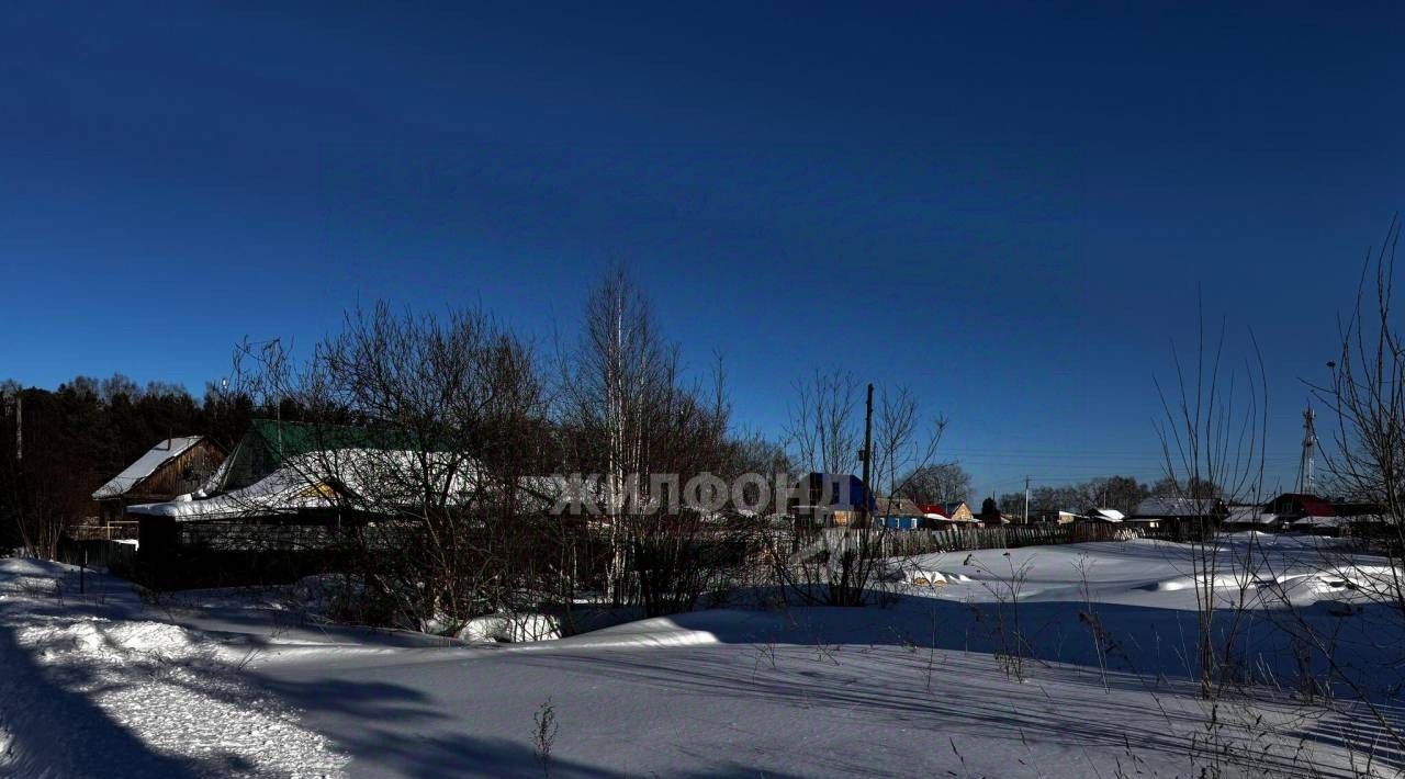 земля г Томск п Родионово р-н Советский фото 1