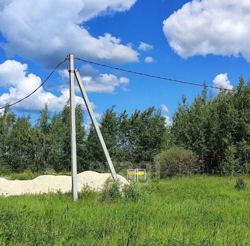 земля Коломна городской округ фото