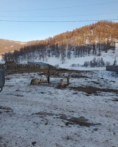 р-н Шебалинский с Верх-Черга Алтайский край, Алтайское фото