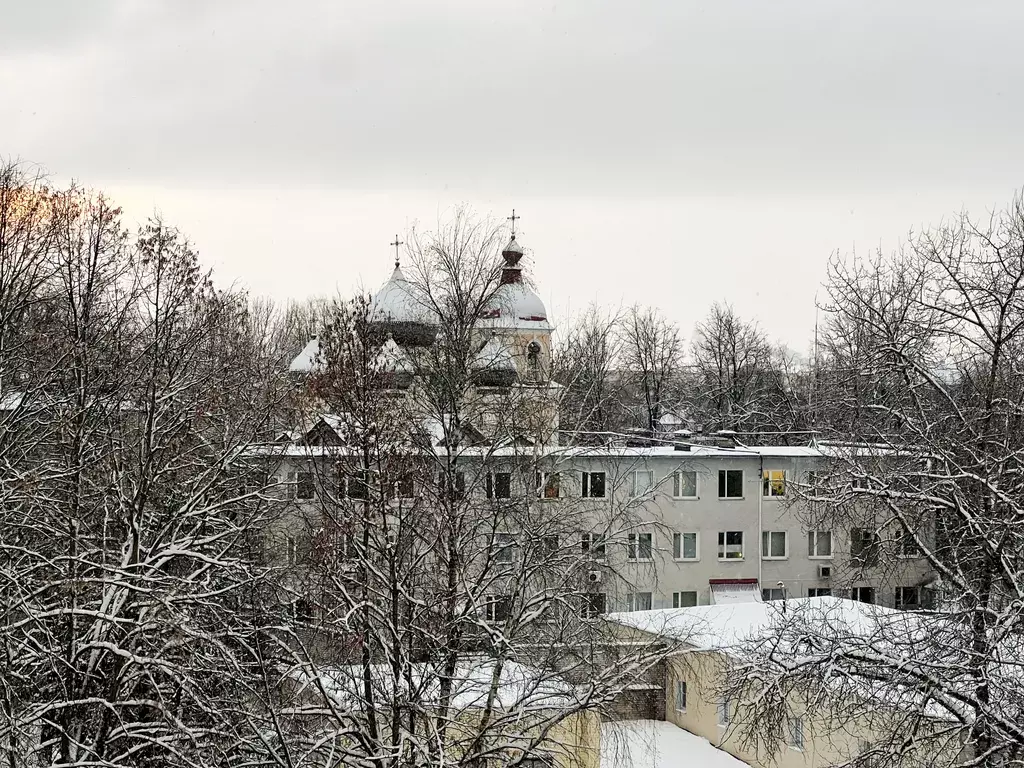 квартира г Великий Новгород ул Большая Санкт-Петербургская 9 фото 23