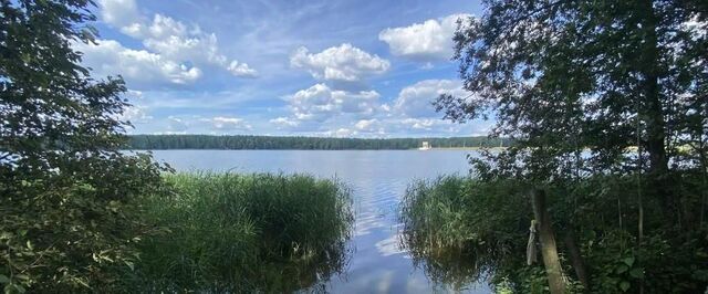 п Пестово Медведково, аллея Березовая, 4 фото