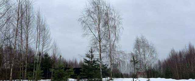 д Горы ул Путейская Павловское городское поселение фото