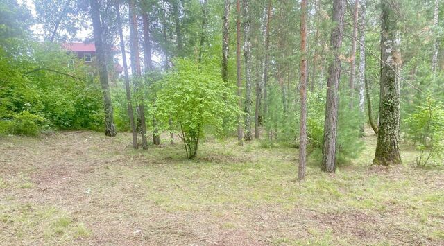 земля р-н Октябрьский ул Курганская фото