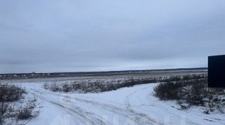 земля р-н Дзержинский с Дворцы ул Южная сельское поселение Село Дворцы фото 3