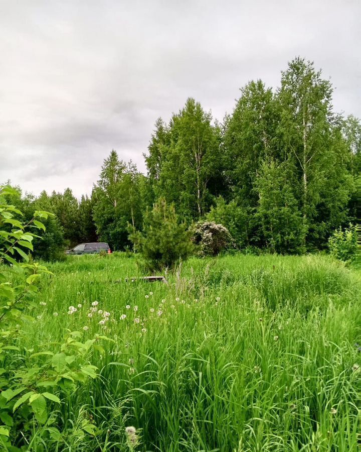 земля р-н Томский днп Солнечная поляна Томск фото 7